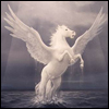 Pegaso